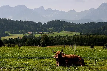 Апартаменты Sonnenhof Seeg *